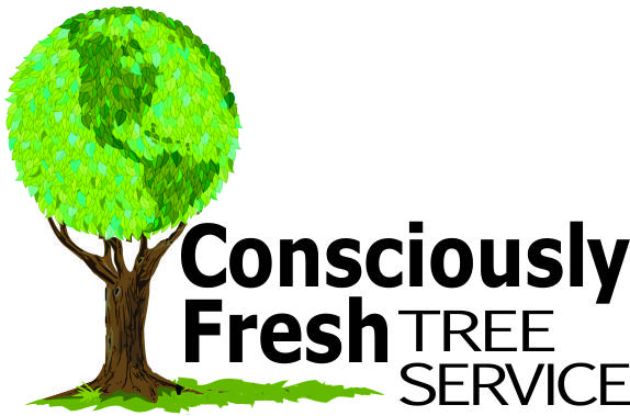 Tree Removal and Trimming Appleton, WI Consciously Fresh Tree Service